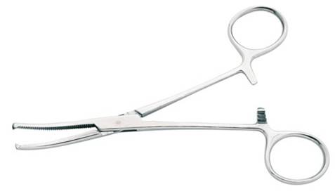 pince hemostatique kocher courbee avec griffe